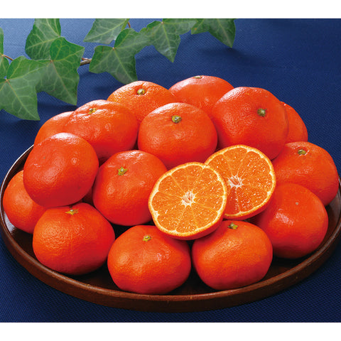 【2503】香川産 さぬき紅