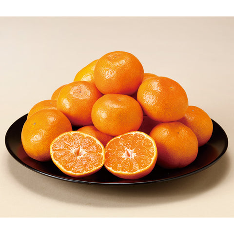 【2504】愛媛産 蜜るみかん