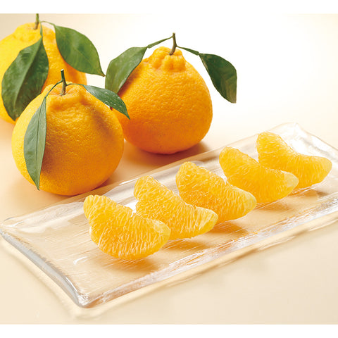 【2507】大分産 ハウスデコポン(葉付き)