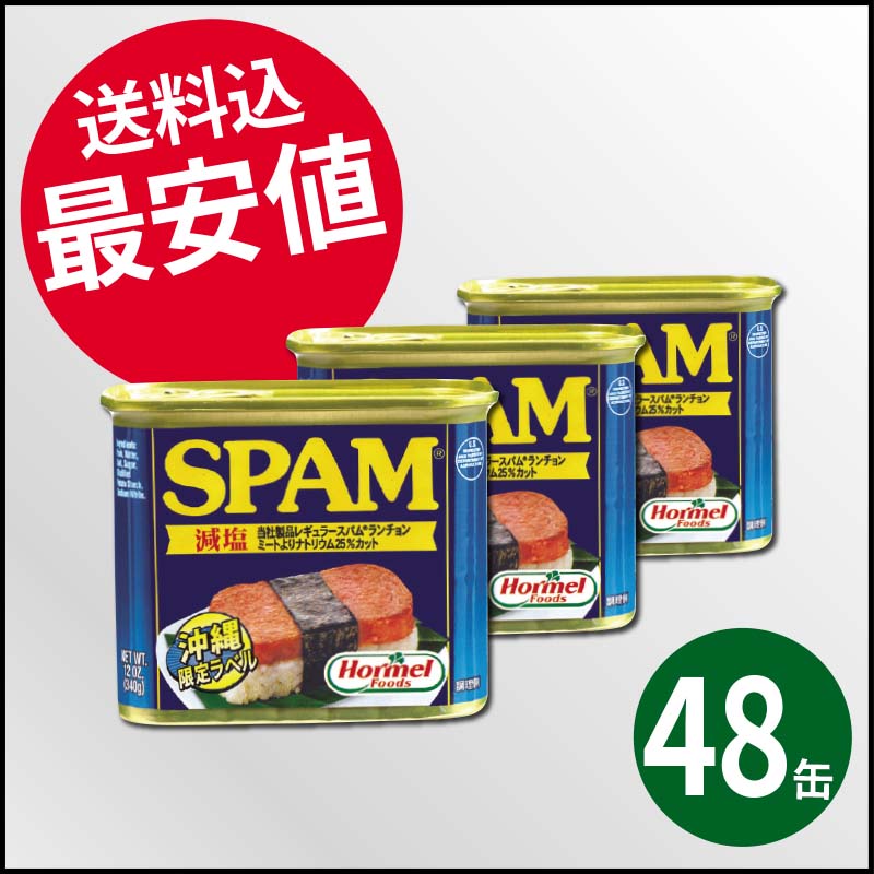スパム 減塩 340g缶  48缶（1缶345円）※うす塩味・レギュラー変更可！
